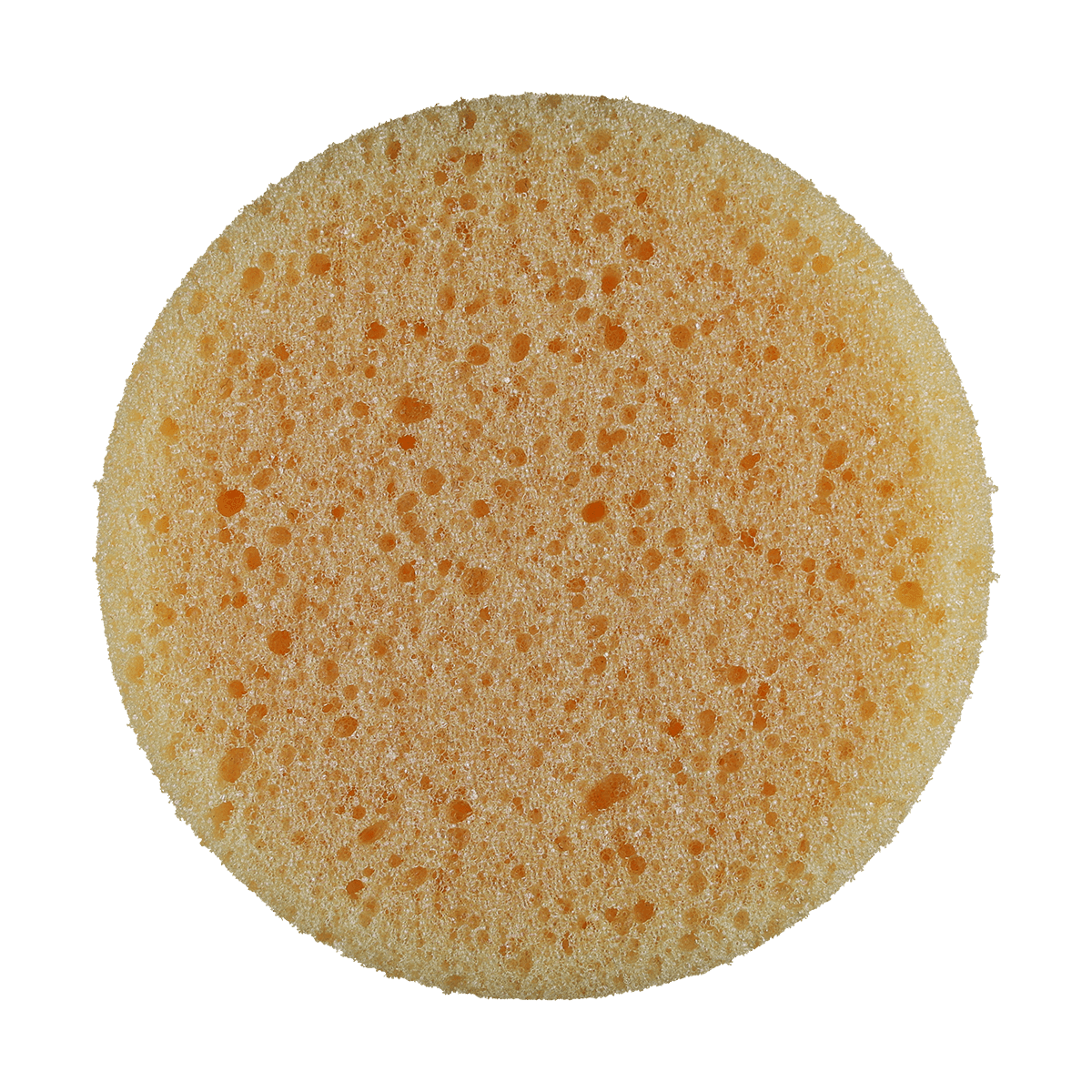 350 - Orange Tire Dressing Sponge (Bulk) - 3.5" x 2"