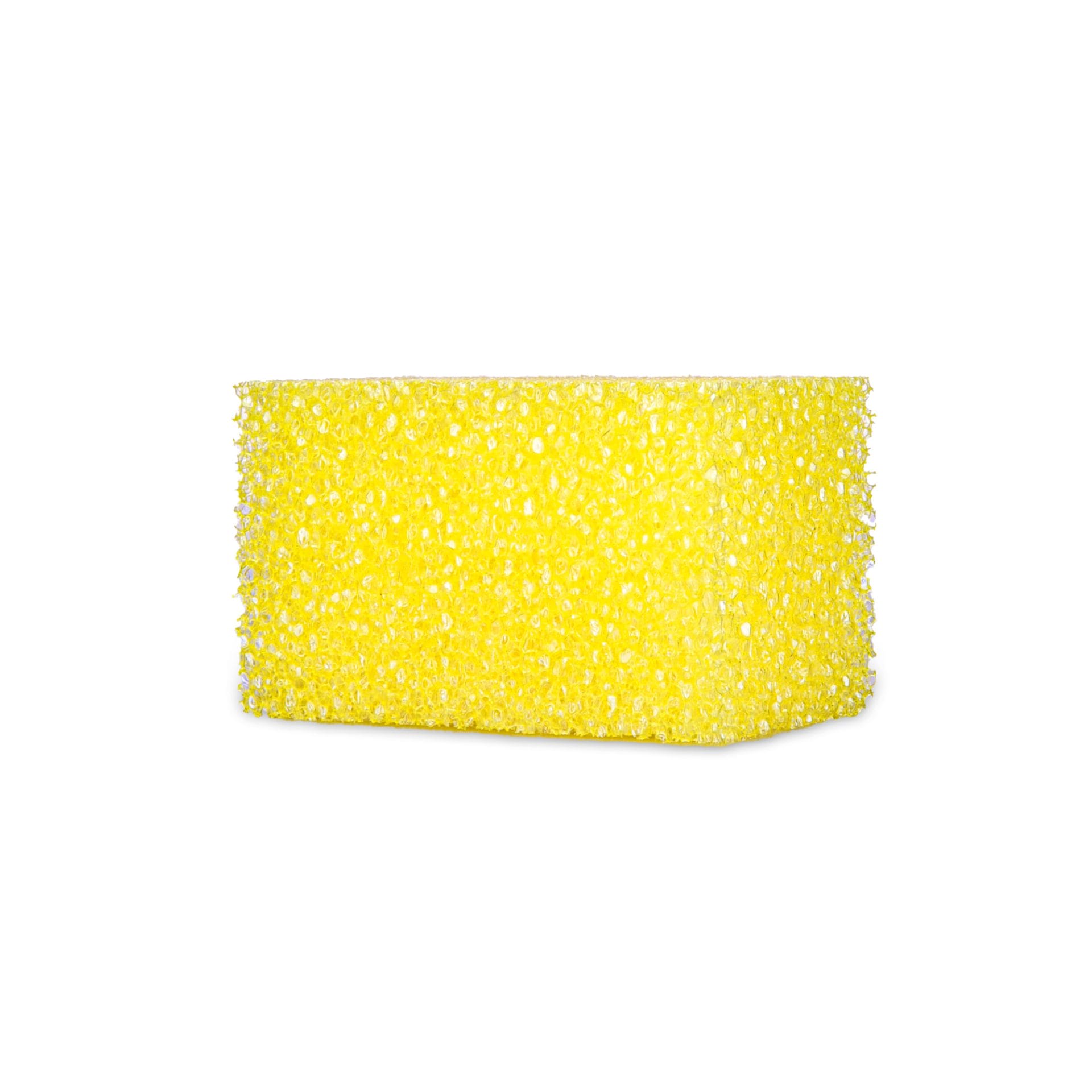 Bug Sponge