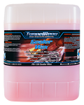 Sealer Wax - Clear Coat Protectant