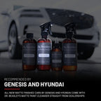 Matte Paint Cleanser