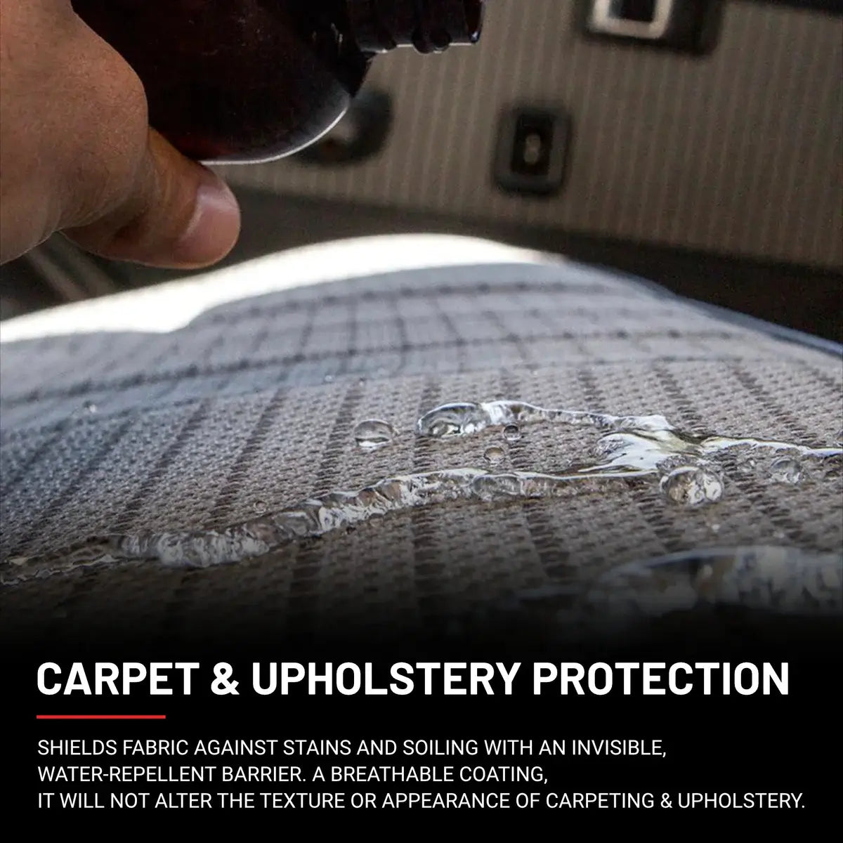 Carpet & Upholstery Protection