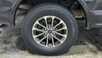 Future of Detailing — 3-Day Auto & Marine Detailing Class with Mike Phillips (May 3-5, 2024)