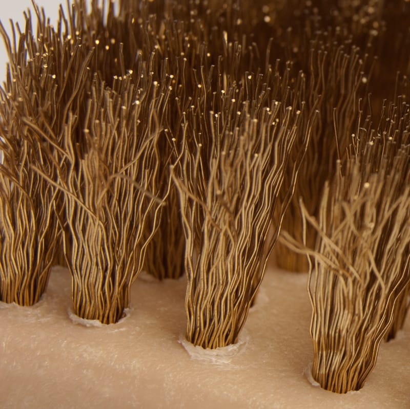 Brass Tire Brush