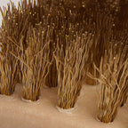 Brass Tire Brush