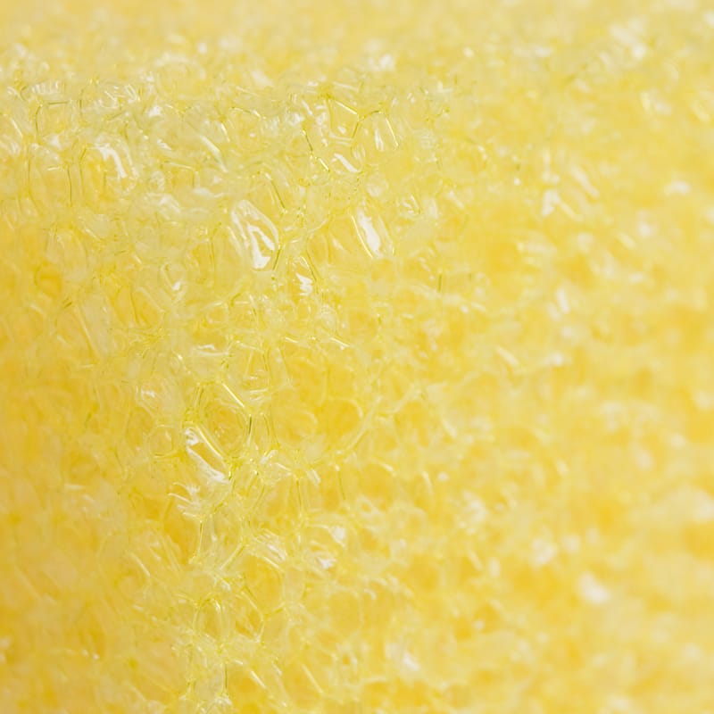 Bug Sponge