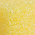 Bug Sponge