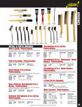 Dual-Purpose Toothbrush-Style Detail •Professional