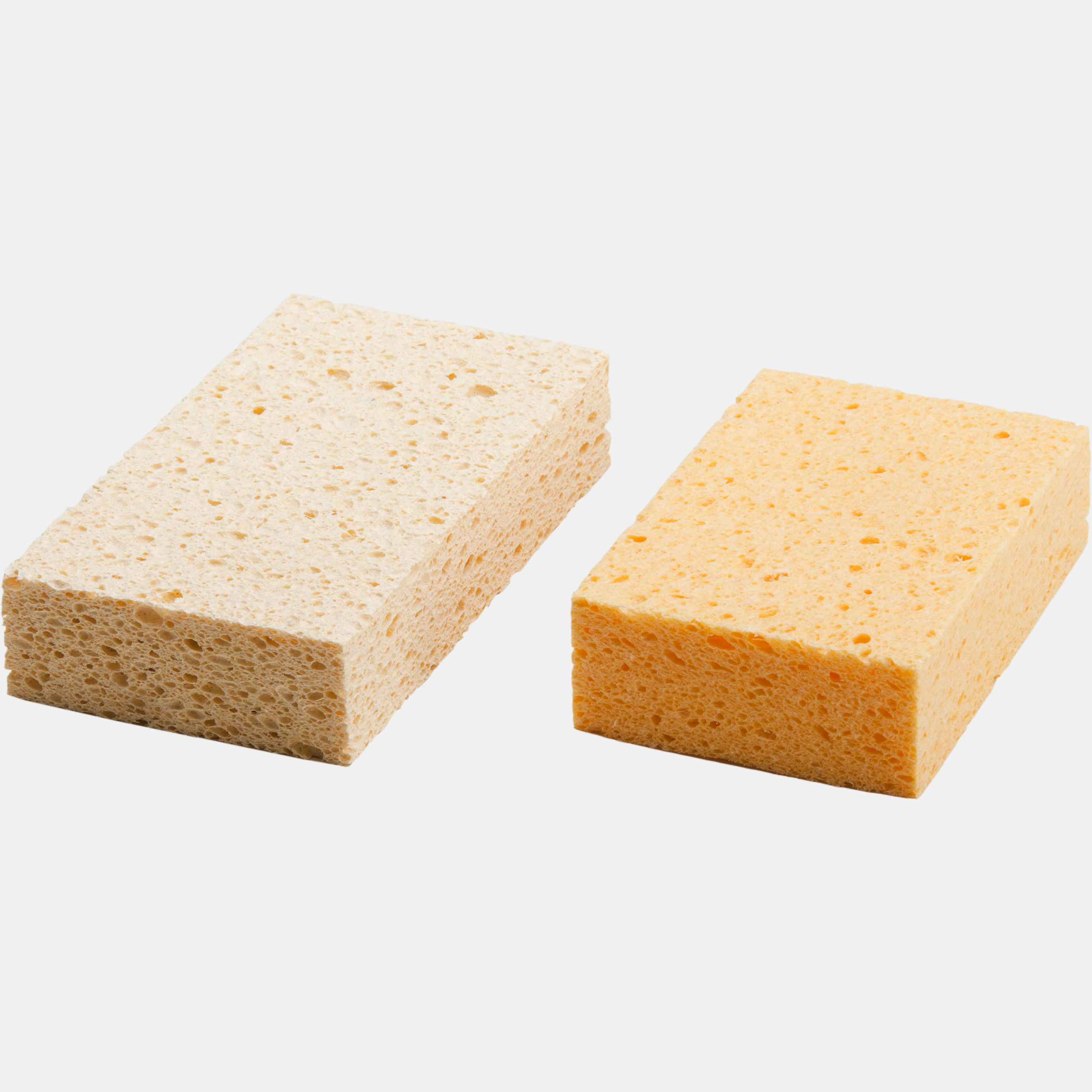 SM Arnold G.P. Cllse.Sponge 2
