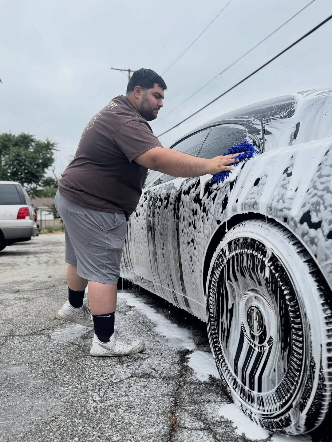 Car Soaps & Shampoos